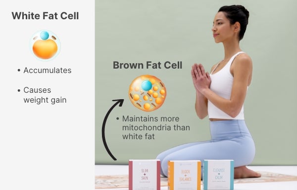 A diagram about White Fat Cells and Brown Fat Cells. Featured is the NeoraFit Set and a woman doing yoga.