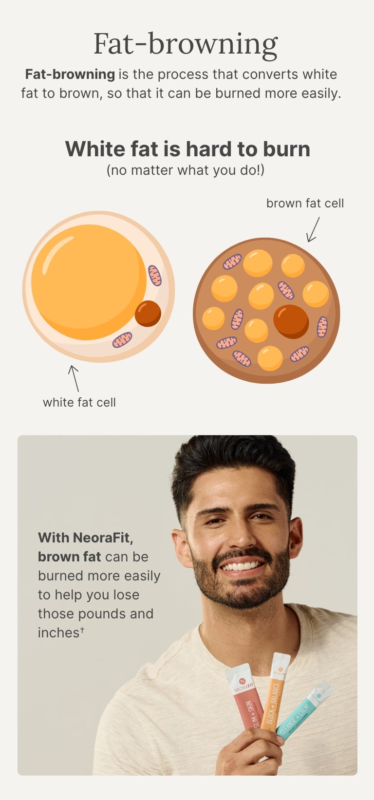 A man smiling holding 3 NeoraFit sachets is shown next to a graphic of fat cells and how NeoraFit can help burn fat when used as part of a healthy lifestyle.