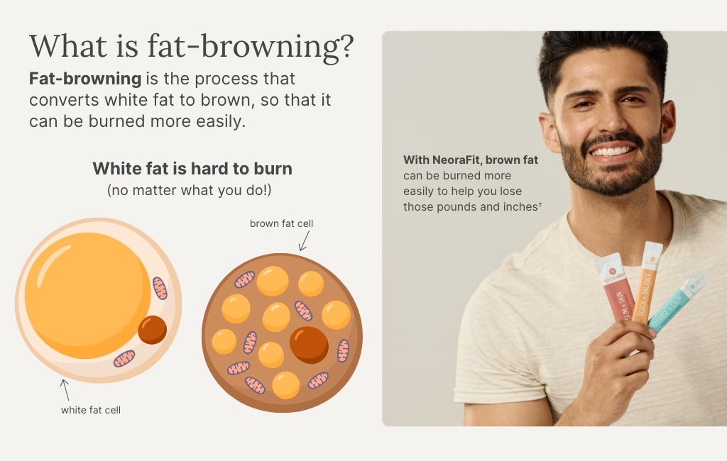 A man smiling holding 3 NeoraFit sachets is shown next to a graphic of fat cells and how NeoraFit can help burn fat when used as part of a healthy lifestyle.