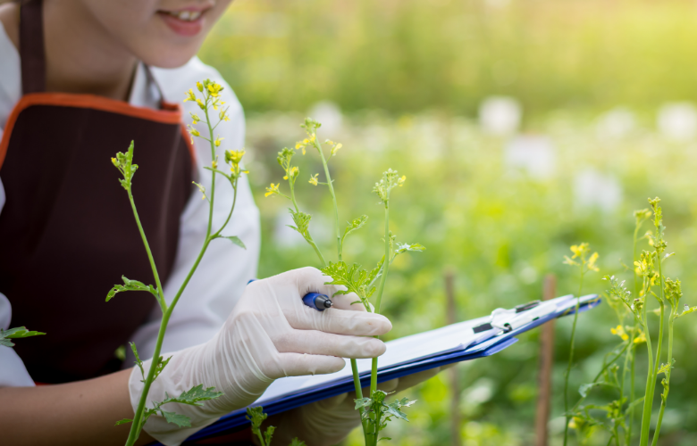 Image of woman holding a clipboard in a field